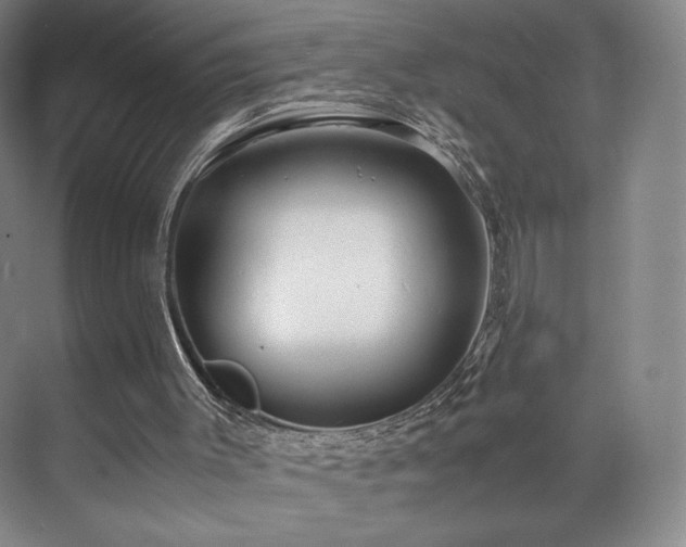 X0000071950003200607141511