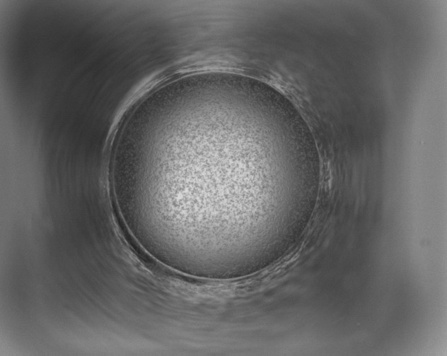 X0000071950004200607141511