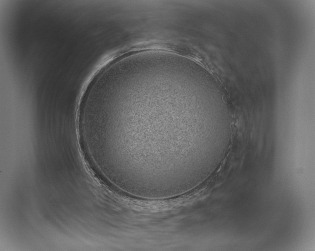 X0000071950006200607141511