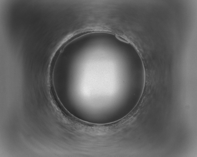 X0000071950008200607141511