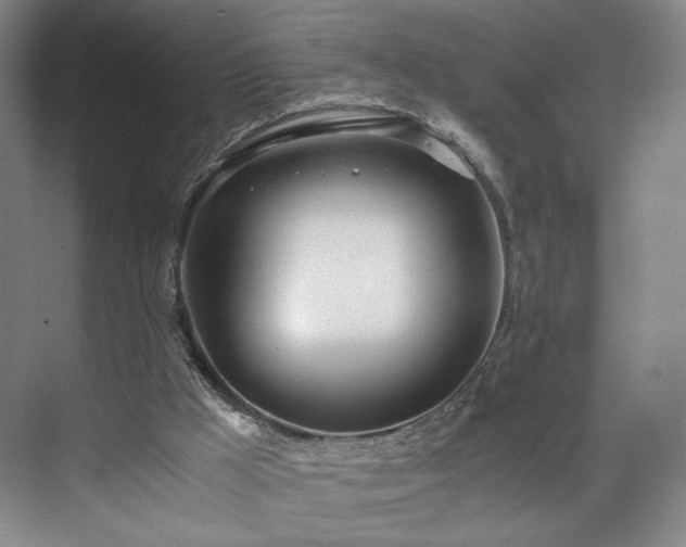 X0000071950009200607141511