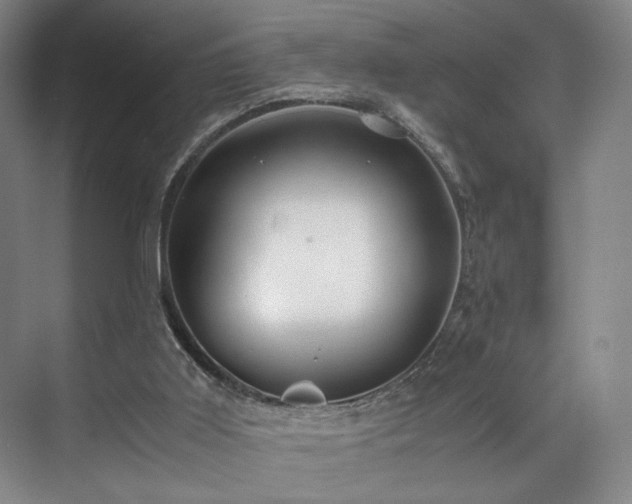 X0000071950011200607141511