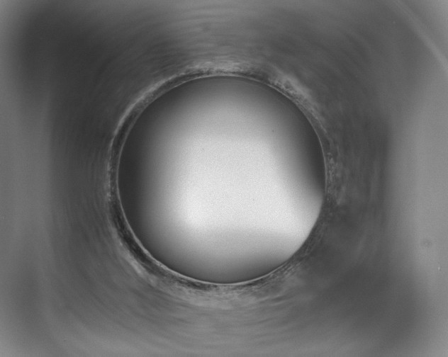 X0000071950012200607141511