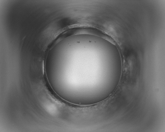 X0000071950013200607141511