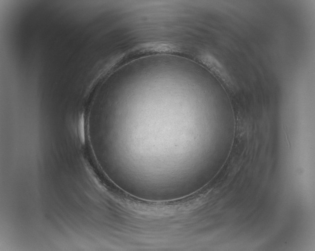 X0000071950014200607141511