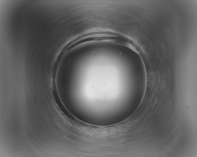 X0000071950015200607141511