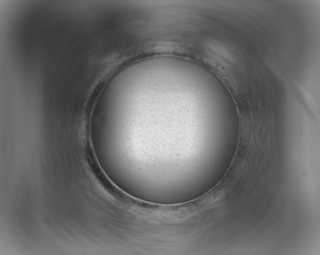 X0000071950016200607141511