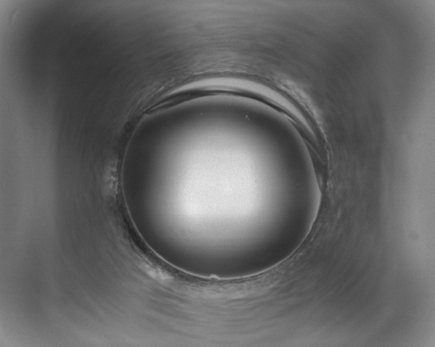 X0000071950017200607141511