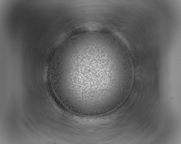 X0000071950018200607141511