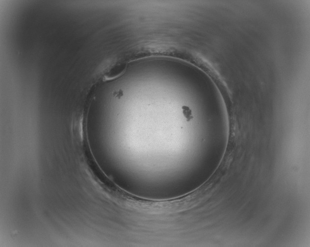 X0000071950019200607141511