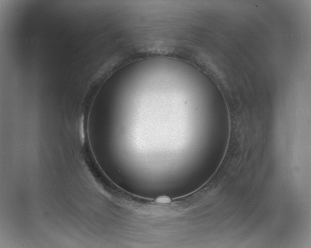 X0000071950020200607141511