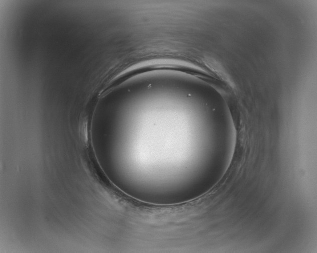 X0000071950021200607141511