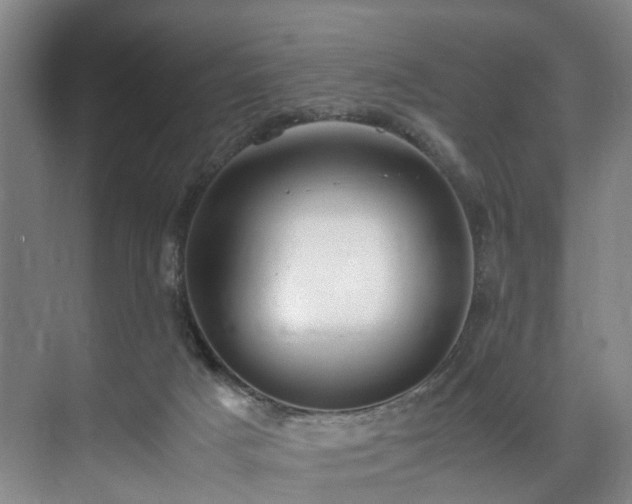 X0000071950025200607141510