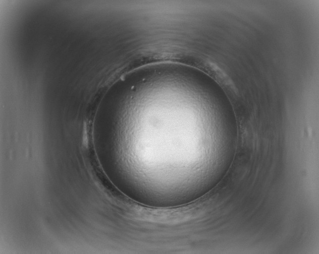 X0000071950026200607141510