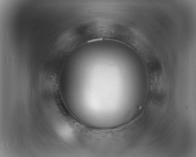 X0000071950029200607141510