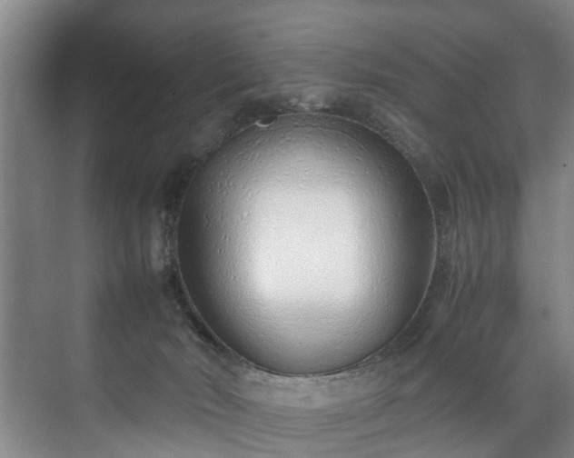 X0000071950030200607141510