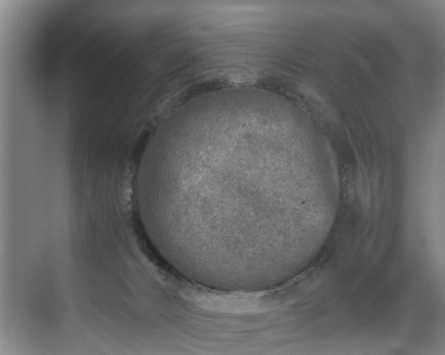 X0000071950032200607141510