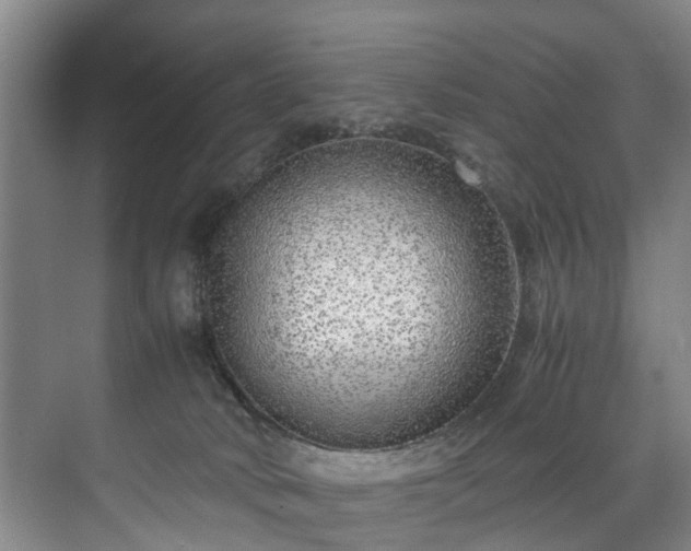 X0000071950034200607141510