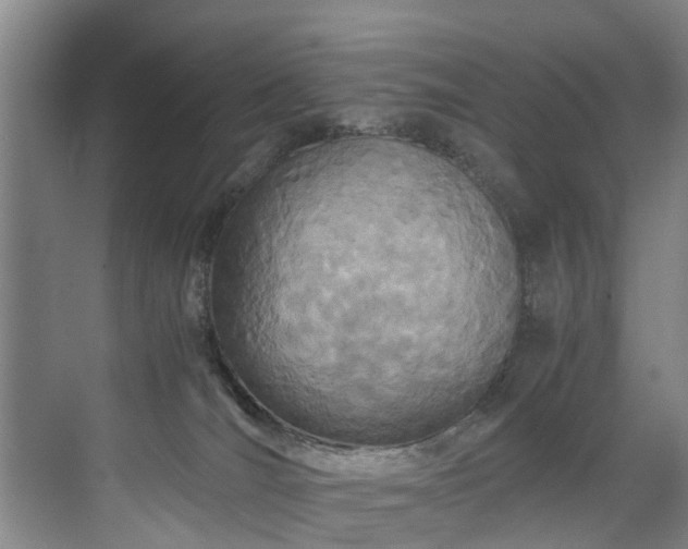 X0000071950036200607141510