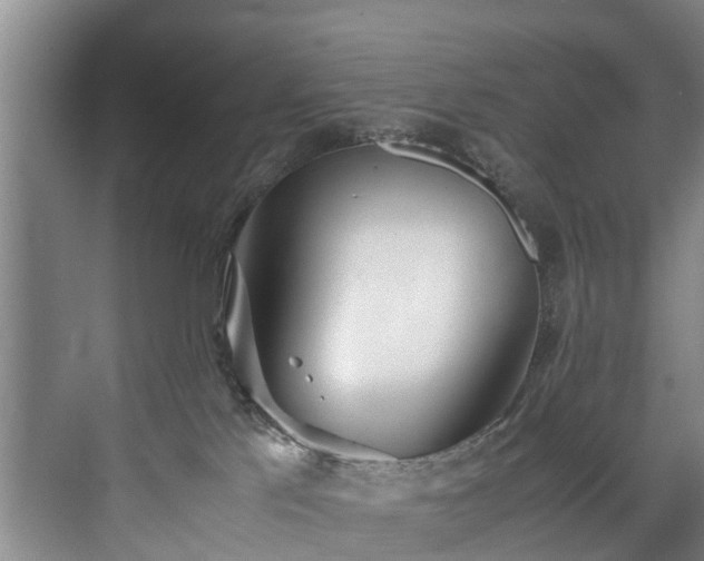 X0000071950041200607141510