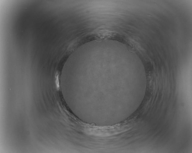 X0000071950042200607141510