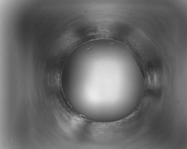 X0000071950045200607141510