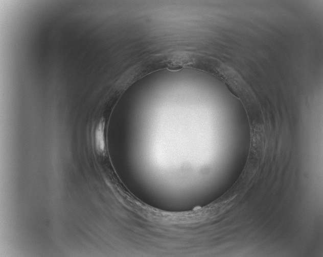 X0000071950046200607141510