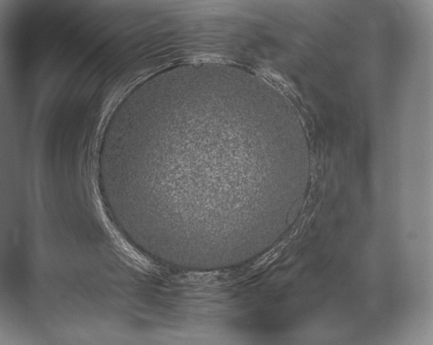 X0000071950049200607141509