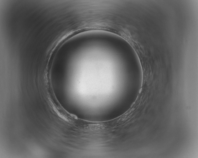 X0000071950050200607141509