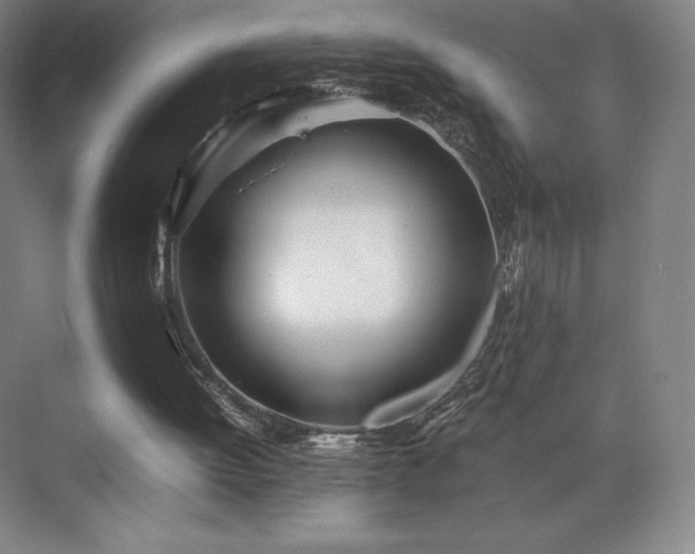 X0000071950052200607141509