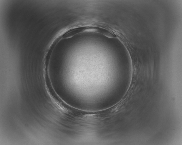 X0000071950054200607141509