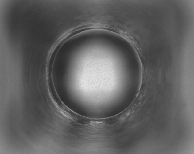 X0000071950055200607141509