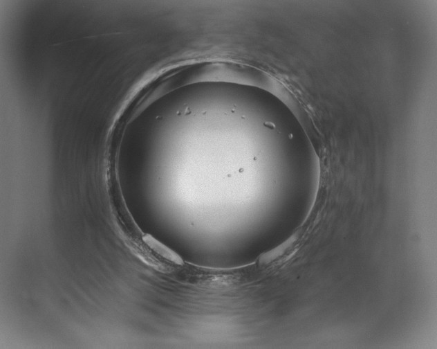 X0000071950056200607141509