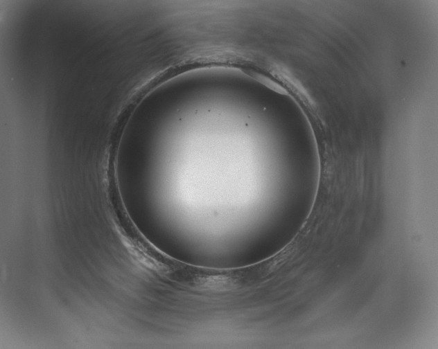 X0000071950058200607141509