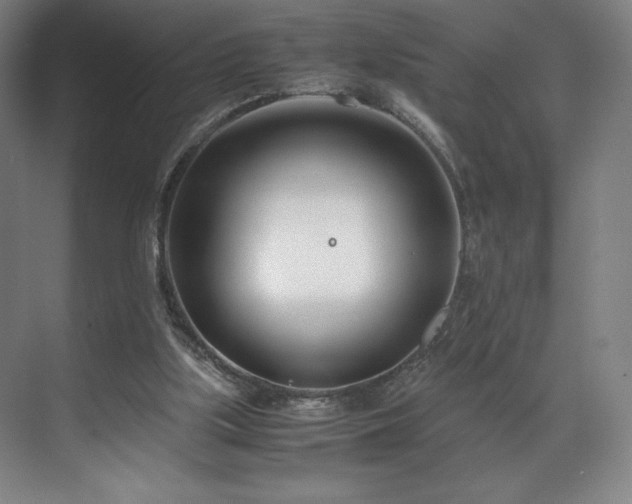 X0000071950059200607141509