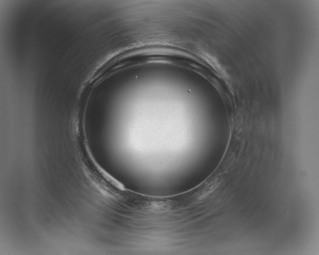 X0000071950060200607141509