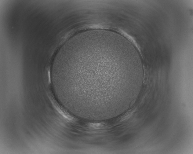 X0000071950061200607141509