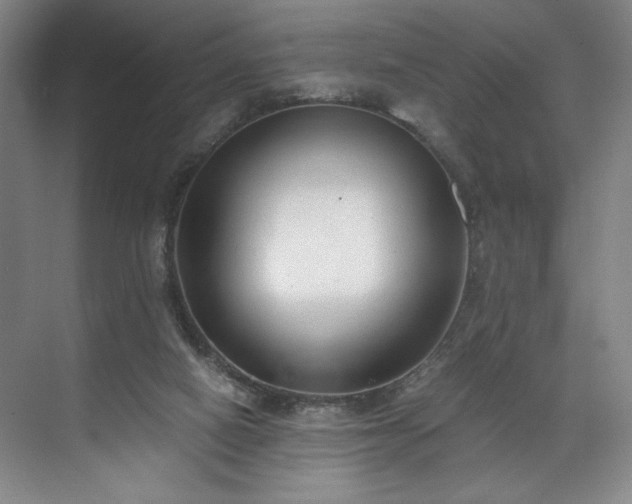 X0000071950066200607141510