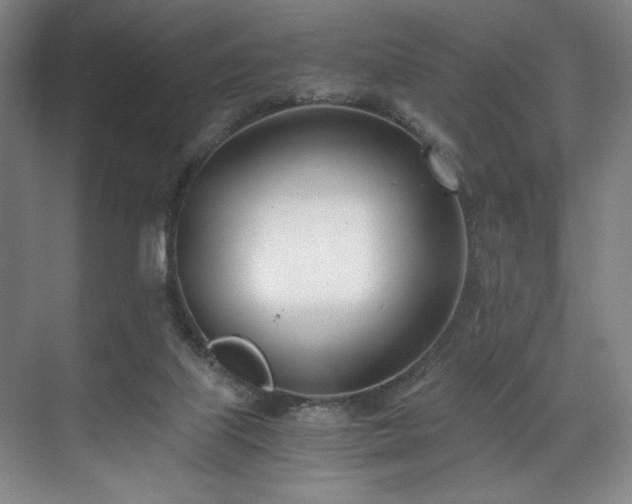 X0000071950067200607141510