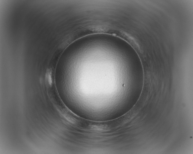 X0000071950069200607141510