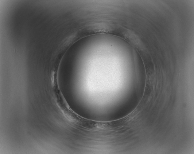 X0000071950070200607141510