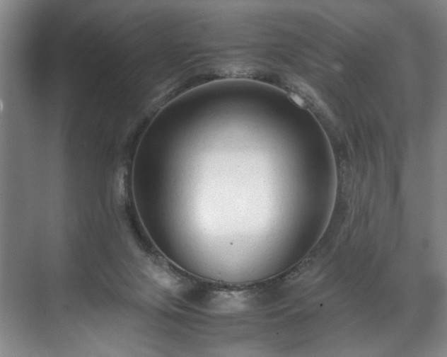 X0000071950071200607141510