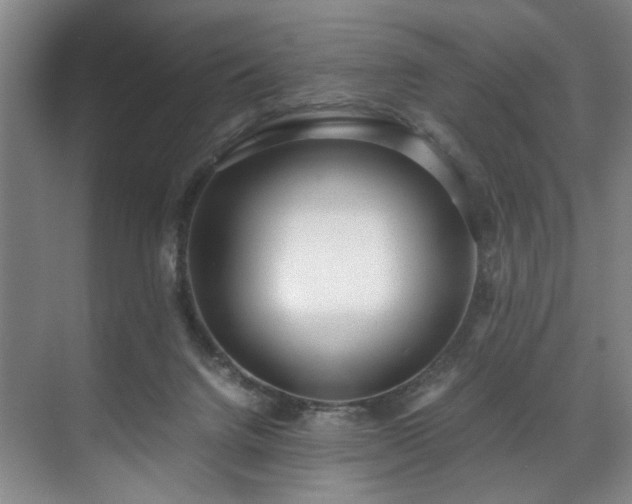 X0000071950072200607141510