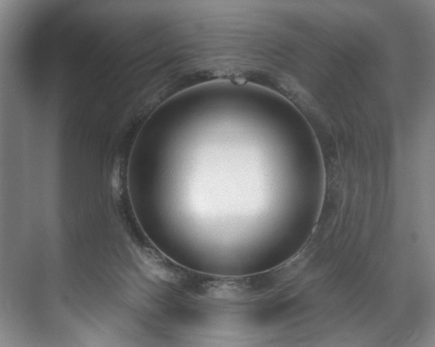 X0000071950074200607141510