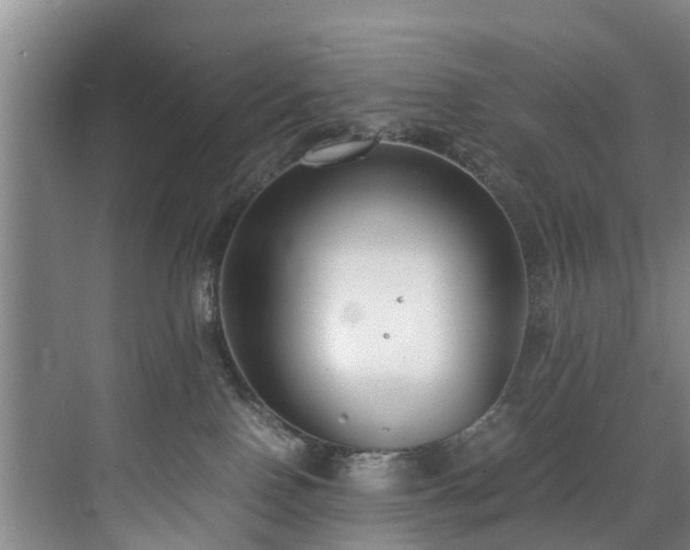 X0000071950090200607141510