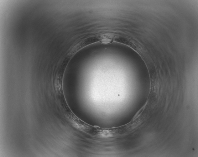 X0000071950091200607141510