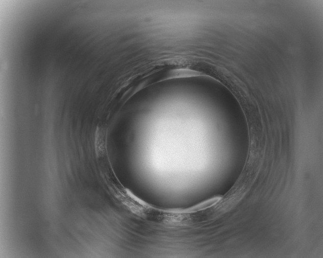 X0000071950096200607141510