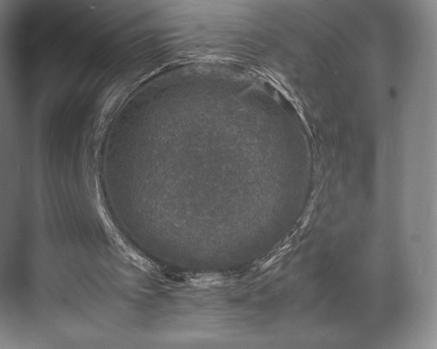 X0000071950097200607141509