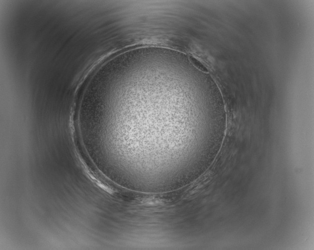 X0000071950098200607141509