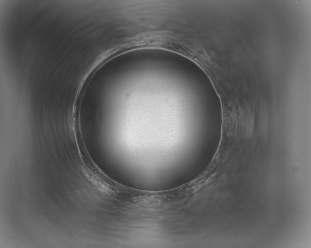 X0000071950100200607141509